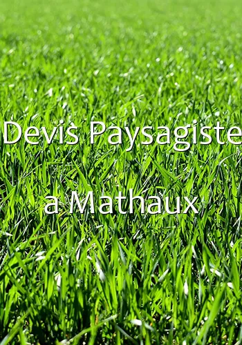 Devis Paysagiste a Mathaux