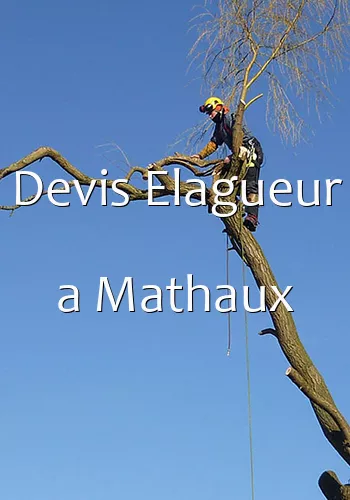 Devis Elagueur a Mathaux