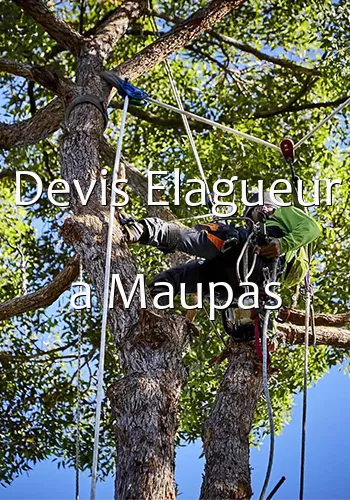 Devis Elagueur a Maupas