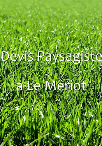 Devis Paysagiste a Le Meriot