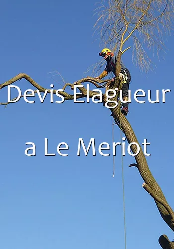 Devis Elagueur a Le Meriot