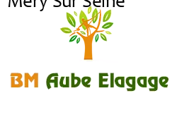 elagage-bm-elagueur