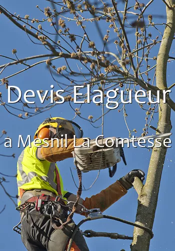 Devis Elagueur a Mesnil La Comtesse