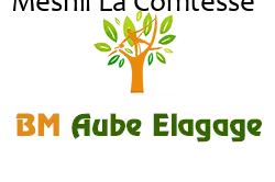 elagage-bm-elagueur