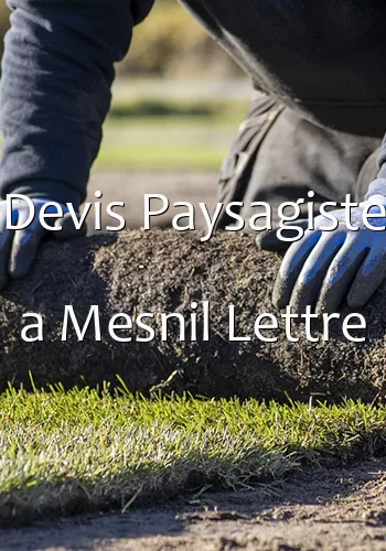 Devis Paysagiste a Mesnil Lettre