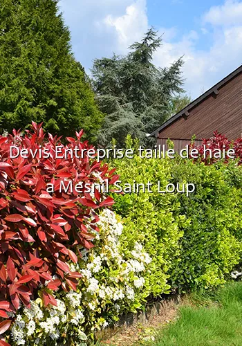 Devis Entreprise taille de haie a Mesnil Saint Loup