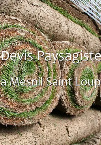 Devis Paysagiste a Mesnil Saint Loup