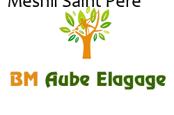 elagage-bm-elagueur