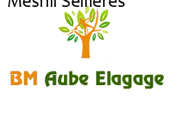 elagage-bm-elagueur