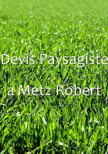 Devis Paysagiste a Metz Robert