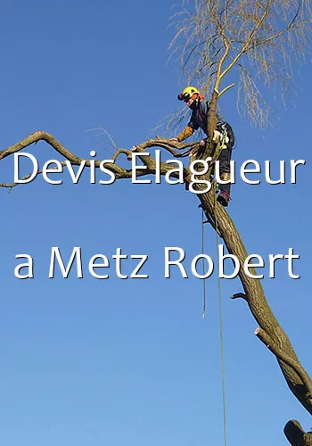 Devis Elagueur a Metz Robert