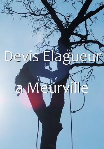 Devis Elagueur a Meurville