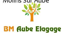 elagage-bm-elagueur