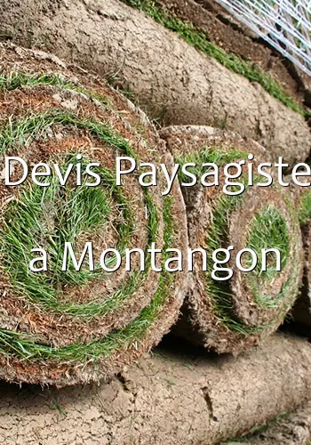 Devis Paysagiste a Montangon