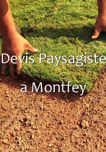 Devis Paysagiste a Montfey