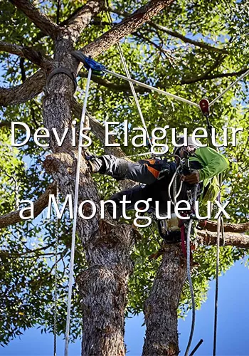 Devis Elagueur a Montgueux