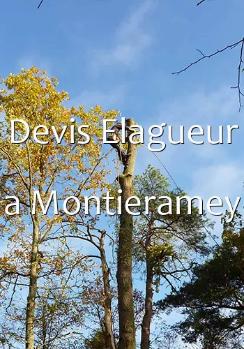 Devis Elagueur a Montieramey