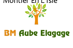 elagage-bm-elagueur