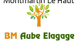 elagage-bm-elagueur