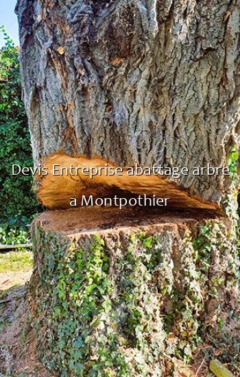 Devis Entreprise abattage arbre a Montpothier