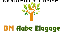 elagage-bm-elagueur