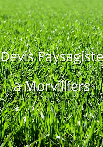 Devis Paysagiste a Morvilliers