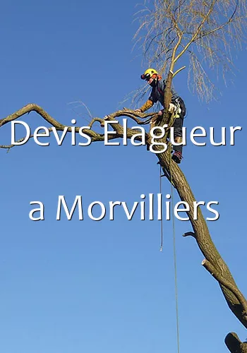 Devis Elagueur a Morvilliers