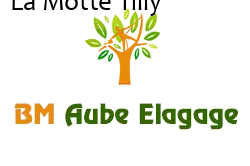 elagage-bm-elagueur