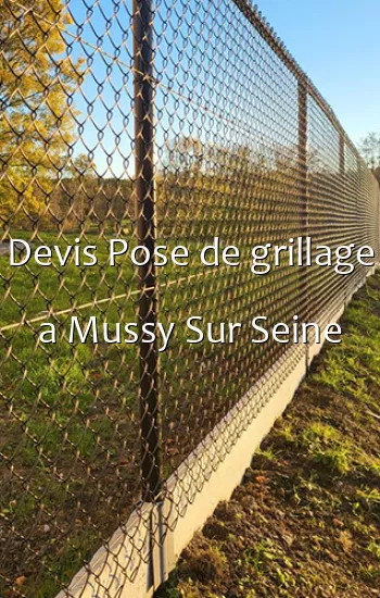 Devis Pose de grillage a Mussy Sur Seine