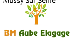 elagage-bm-elagueur