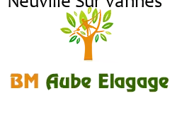 elagage-bm-elagueur