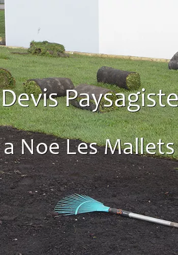 Devis Paysagiste a Noe Les Mallets