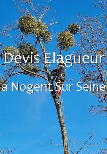 Devis Elagueur a Nogent Sur Seine