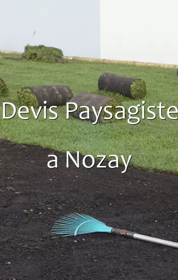 Devis Paysagiste a Nozay