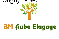 elagage-bm-elagueur