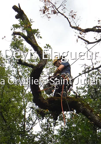 Devis Elagueur a Orvilliers Saint Julien