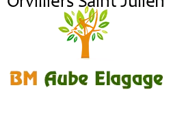 elagage-bm-elagueur