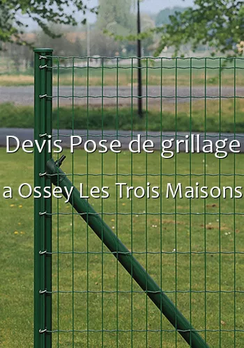 Devis Pose de grillage a Ossey Les Trois Maisons