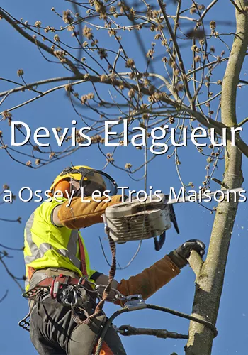 Devis Elagueur a Ossey Les Trois Maisons