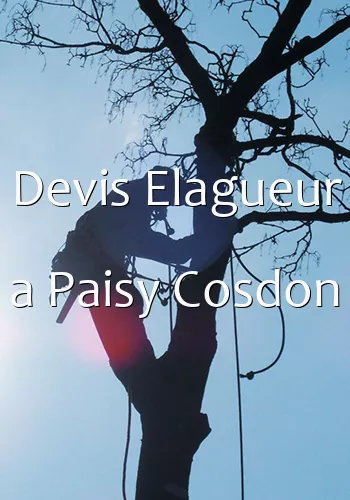 Devis Elagueur a Paisy Cosdon