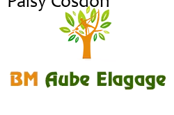 elagage-bm-elagueur