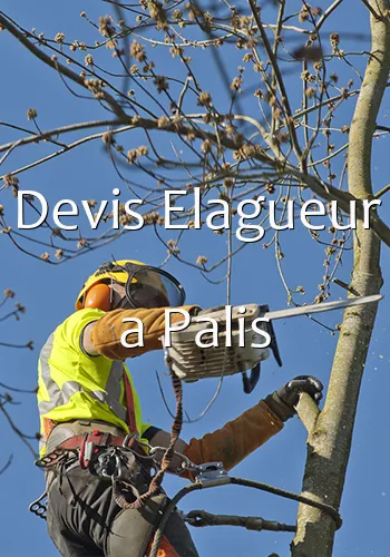 Devis Elagueur a Palis