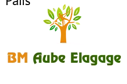 elagage-bm-elagueur