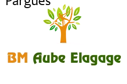 elagage-bm-elagueur