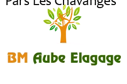 elagage-bm-elagueur