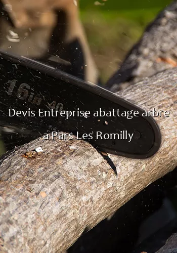 Devis Entreprise abattage arbre a Pars Les Romilly