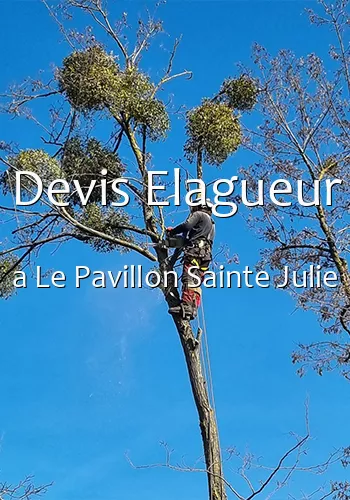 Devis Elagueur a Le Pavillon Sainte Julie