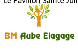 elagage-bm-elagueur