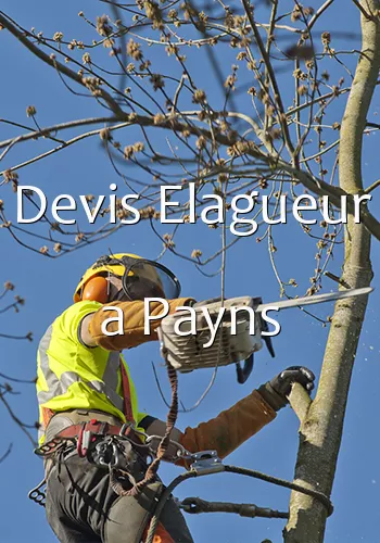 Devis Elagueur a Payns