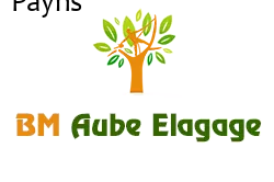 elagage-bm-elagueur